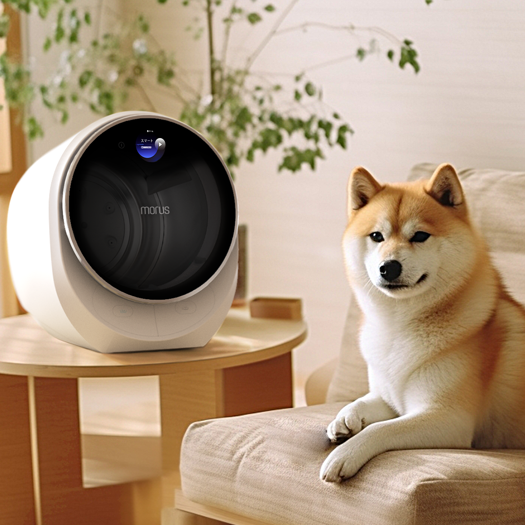 Dog sitting on a couch next to a white morus c2 dryer 